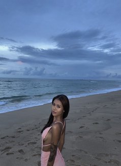 Nikki - puta in Phuket Photo 4 of 7