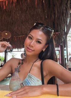 Nikki - escort in Phuket Photo 10 of 11