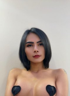 Nikki - Acompañantes transexual in Khobar Photo 1 of 5