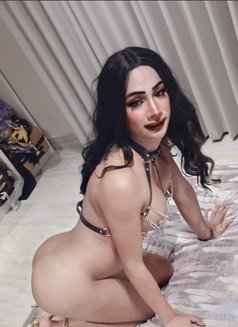 Nikki - Acompañantes transexual in Khobar Photo 11 of 20