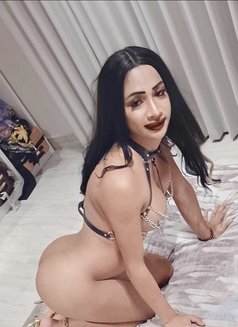 Nikki - Acompañantes transexual in Khobar Photo 12 of 20