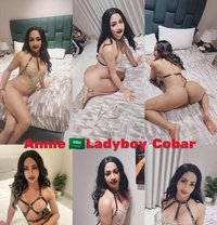 Nikki - Transsexual escort in Khobar