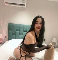 Nikki - Transsexual escort in Khobar