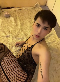 Nikki,69,RIM,massage,Both - Transsexual escort in Al Manama Photo 5 of 10