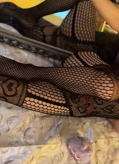 Nikki,69,RIM,massage,Both - Transsexual escort in Al Manama Photo 7 of 10