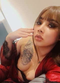 Nikki VVIP Massage🇹🇭🇸🇦 - Transsexual escort in Khobar Photo 4 of 6