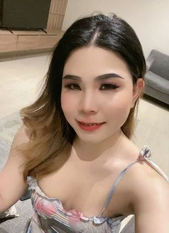Nikki VVIP Massage🇹🇭🇸🇦 - Transsexual escort in Khobar Photo 1 of 5