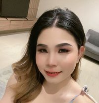 Nikki VVIP Massage🇹🇭🇸🇦 - Transsexual escort in Khobar