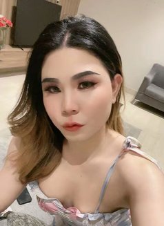 Nikki VVIP Massage🇹🇭🇸🇦 - Transsexual escort in Khobar Photo 2 of 5