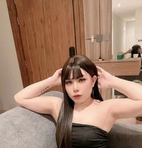 Nikki VVIP Massage🇹🇭🇸🇦 - Transsexual escort in Khobar
