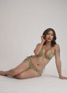NikkiGFE/BestSexrvice/VersaVip - Acompañantes transexual in Bali Photo 5 of 29