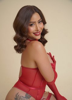 NikkiGFE/BestSexrvice/VersaVip - Acompañantes transexual in Bali Photo 14 of 29