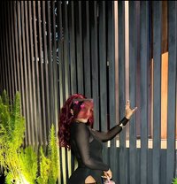 Nikky - escort in Accra