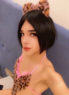 Niky - Male escort in Riyadh Photo 17 of 18