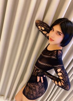 Niky - Male escort in Riyadh Photo 18 of 18