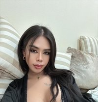 Itim Lady boy from Thailand - masseuse in Doha