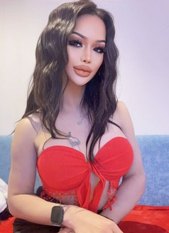 Nilin Ladyboy Thailand - Transsexual escort in Riyadh Photo 6 of 29
