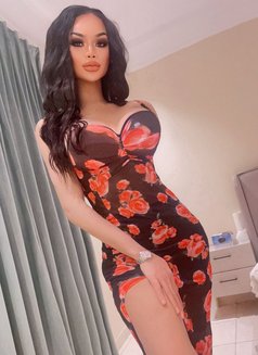 Nilin Ladyboy Thailand - Transsexual escort in Riyadh Photo 20 of 29
