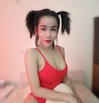 Nimo69 enjoy - Transsexual escort in Doha