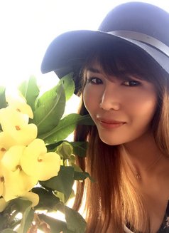 Nina Jung - escort in Bangkok Photo 2 of 8
