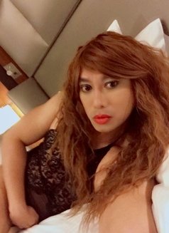 Nina Prada - Transsexual escort in Kuala Lumpur Photo 2 of 6