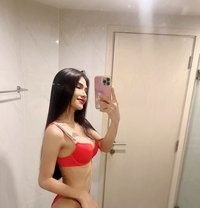 Nina - Transsexual escort in Bangkok