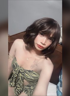 Nina - Acompañantes transexual in Ko Samui Photo 10 of 10
