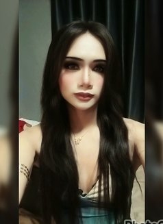 Nina - Acompañantes transexual in Ko Samui Photo 3 of 7