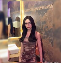 Nina - Acompañantes transexual in Ko Samui
