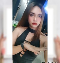 Nina - Transsexual escort in Ko Samui