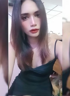 Nina - Acompañantes transexual in Ko Samui Photo 1 of 7