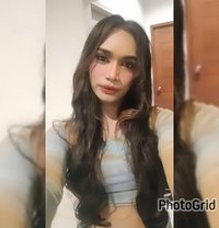 Nina - Transsexual escort in Ko Samui