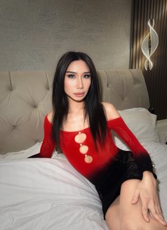 Nina 🤍 - Acompañantes transexual in Riyadh Photo 6 of 6