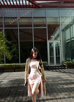 Nina91 - escort in Bangkok Photo 8 of 11