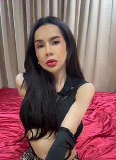 Sexy ladyboy both in Bangkok - Transsexual escort in Bangkok Photo 10 of 11