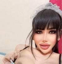 Ninew Thailand - Transsexual escort in Riyadh