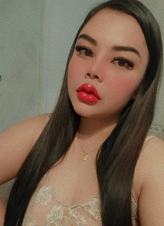 Ning chubby girl - escort in Muscat Photo 17 of 20