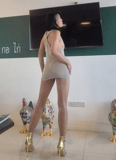 Ning (independent) - puta in Bangkok Photo 5 of 7