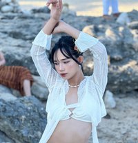 Ning Ning - Transsexual escort in Manila