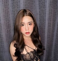 Ningning - Transsexual escort in Bangkok