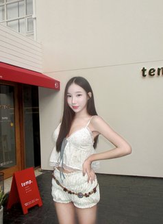 Ningning - escort in Taipei Photo 3 of 4