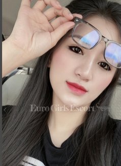 NINI ...NO AGENCY. 69.KISS.RIM.CIM NEW - escort in Dubai Photo 10 of 12