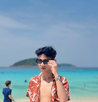Nino - Male escort in Phuket