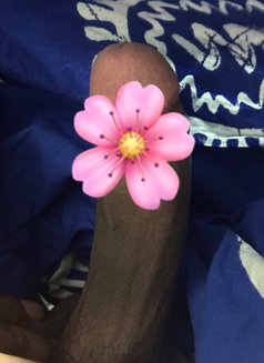 Nirwan for Any Aged Ladies best licker - Male escort in Colombo Photo 5 of 5