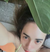 Nis Venus - Transsexual escort in Phuket