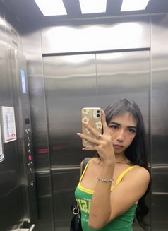 Nis Venus - Transsexual escort in Phuket Photo 18 of 25