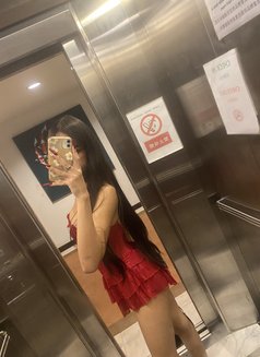 Nis Venus - Transsexual escort in Phuket Photo 21 of 25