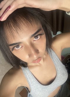 Nis Venus - Transsexual escort in Phuket Photo 23 of 25