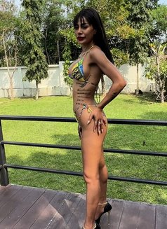 Nisa - escort in Pattaya Photo 9 of 10