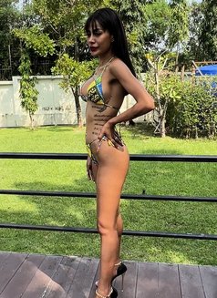 Nisa - escort in Pattaya Photo 10 of 10